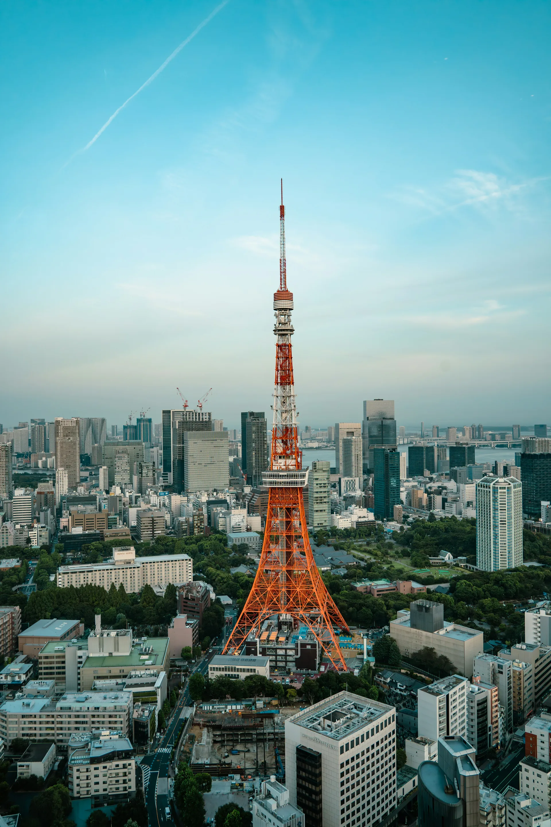 東京湾の夜景:レインボーブリッジと東京タワー、港区の高層ビル群